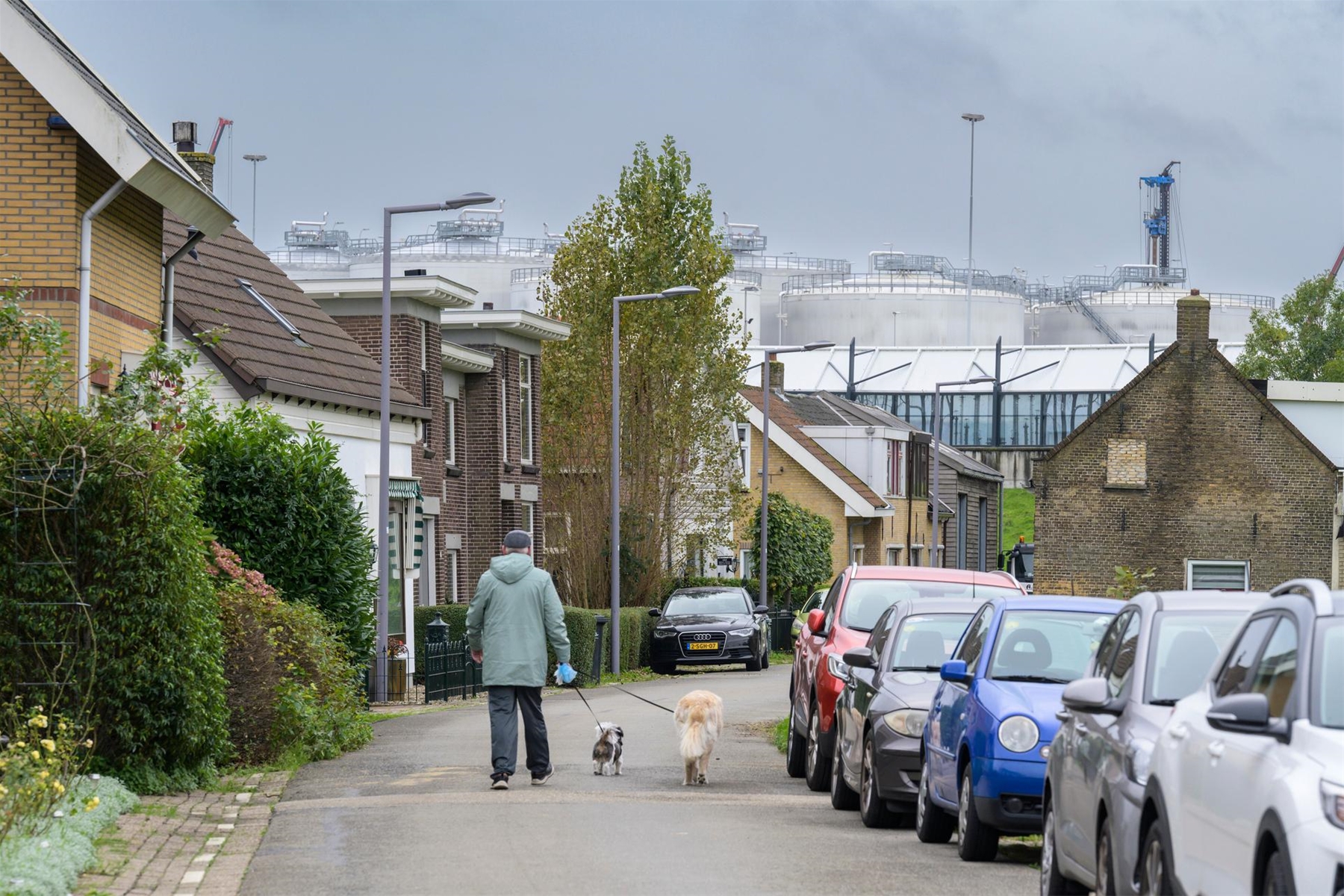 Persoon met twee honden loopt door woonwijk met industrie in de achtergrond
